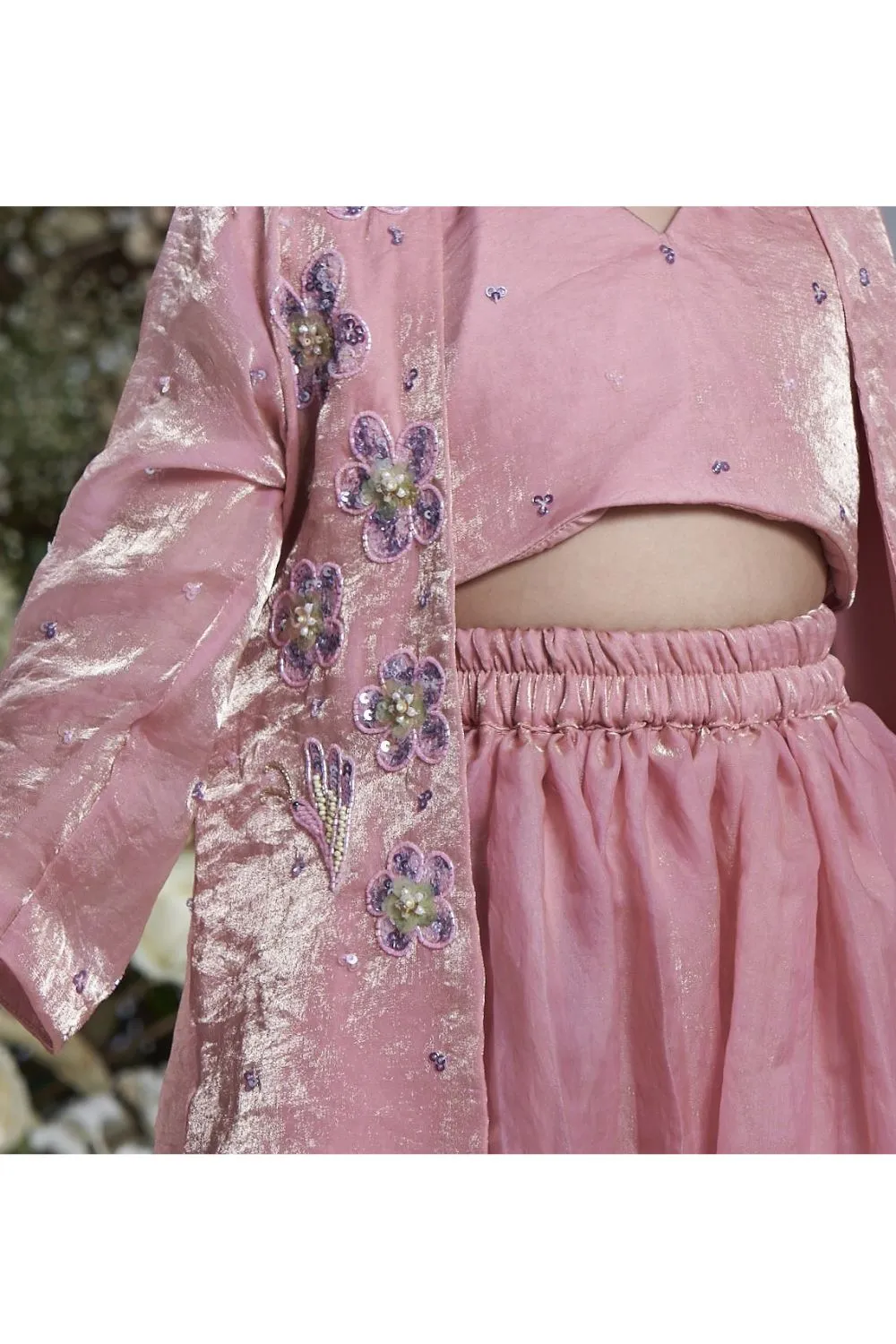 Baby Pink Hand Embroidered Butterfly Motifs Lehenga With Jacket Set
