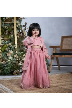Baby Pink Hand Embroidered Butterfly Motifs Lehenga With Jacket Set